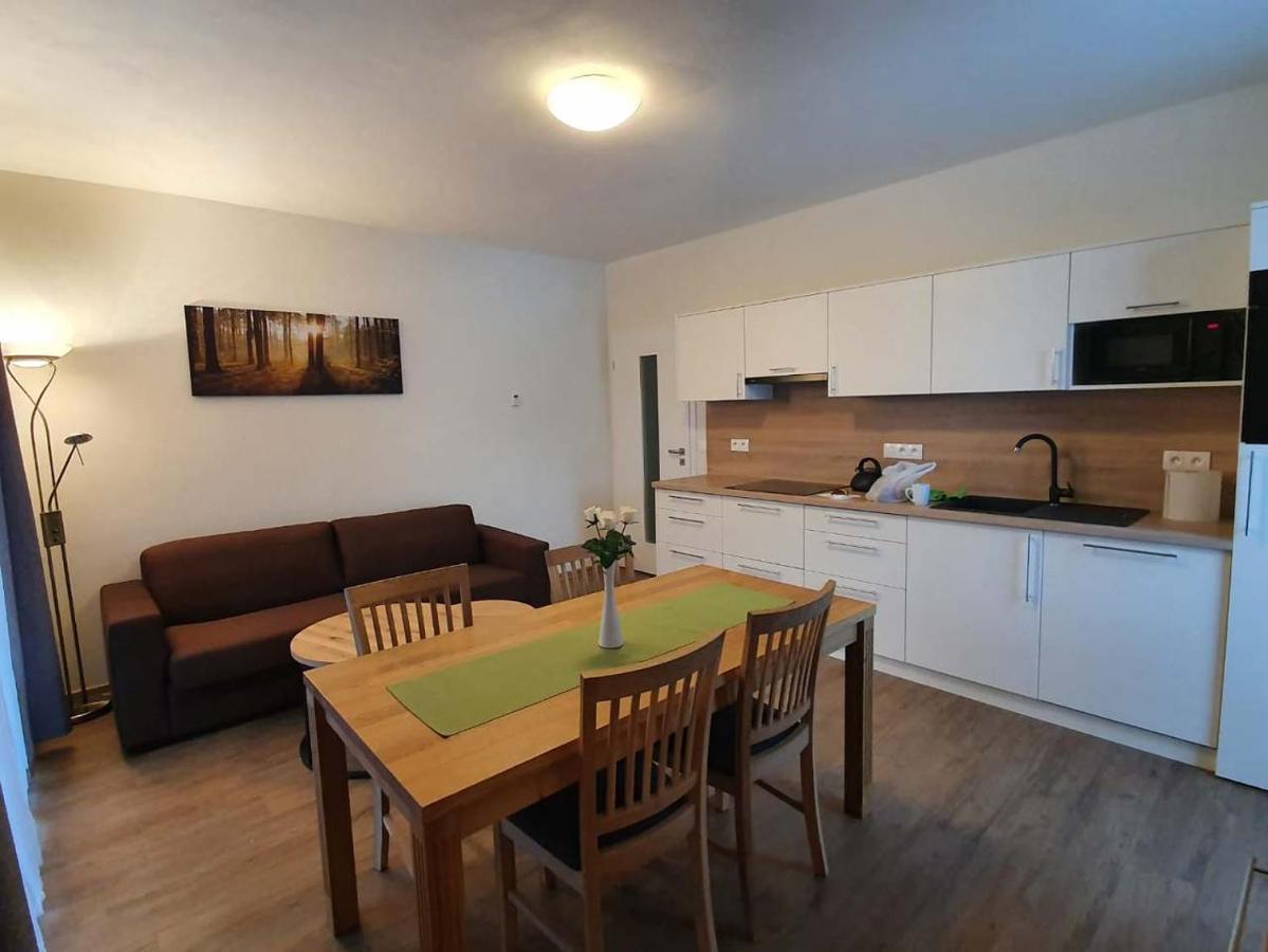 Apartman Praded V Rickach - Ricky V Orlickych Horach Ricky (Hradec Kralove) Exterior foto